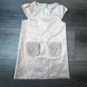 NWT Gymboree Metallic Girls Dress Faux Fur Pocket Whimsical Fairy Girlhood Pink